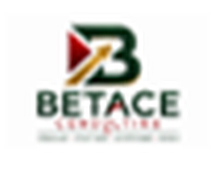 Logo BETACE CONSULTING SARL